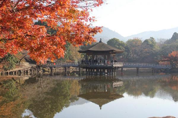https://www.db.kansai-maas.jp/image/photos/b1425e83-2ed4-4e2b-bfdb-e8b062011606.jpg