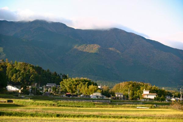 https://www.db.kansai-maas.jp/image/photos/b1a86359-96cf-4092-a703-7352c29ffd44.jpg