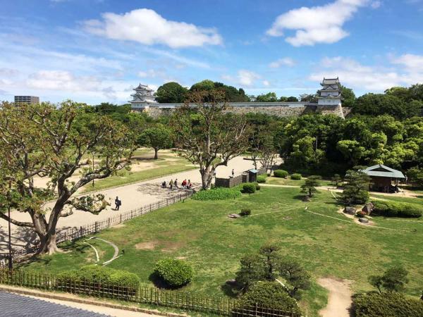https://www.db.kansai-maas.jp/image/photos/b2afde36-69c6-43fe-98aa-c79795b426ba.jpg