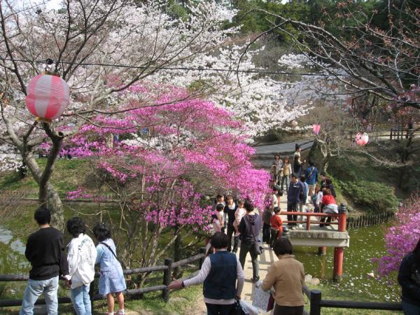 https://www.db.kansai-maas.jp/image/photos/b304d685-b3b4-4956-ab07-8e99c6683dda.jpg
