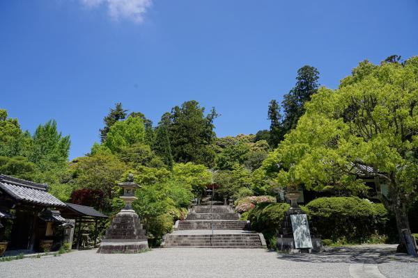 https://www.db.kansai-maas.jp/image/photos/b39ca55f-23d1-4324-9ca5-3c2caa12624a.jpg