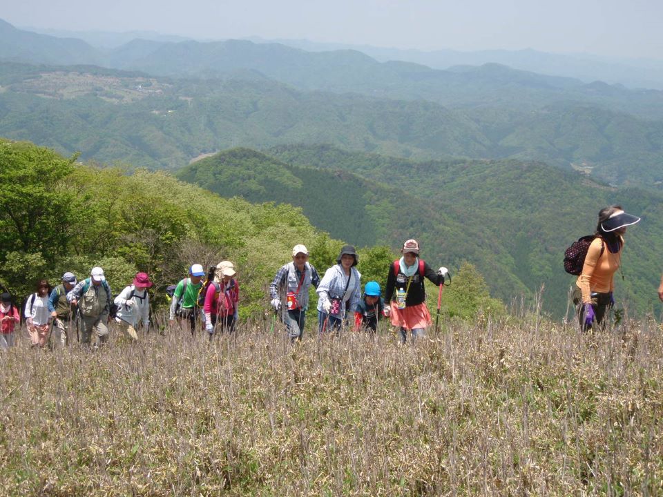 https://www.db.kansai-maas.jp/image/photos/b4baa242-5329-4eb1-9b09-e25a7c7ab460.JPG