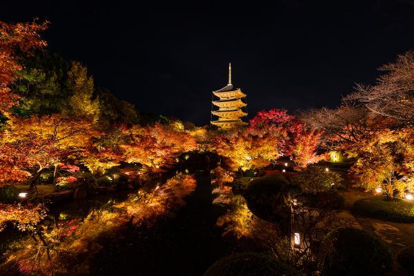 https://www.db.kansai-maas.jp/image/photos/b4cf0a0b-cace-40d3-9a40-abdaac71517c.jpg