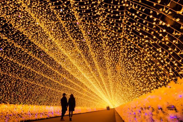 https://www.db.kansai-maas.jp/image/photos/b51bd31d-0f91-46be-844b-be35c41163d2.jpg