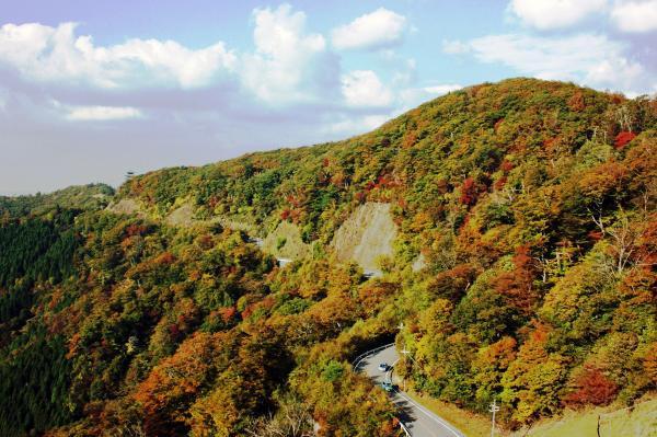 https://www.db.kansai-maas.jp/image/photos/b5417e5b-762d-4198-b0b9-0872cd2f0d11.jpg