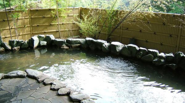 https://www.db.kansai-maas.jp/image/photos/b57de097-210a-4d3f-9056-293a9ae7e6d3.jpg