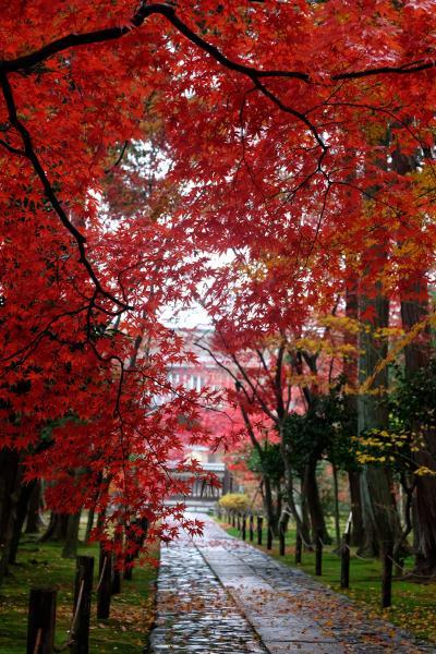 https://www.db.kansai-maas.jp/image/photos/b6578fd8-870d-4963-8b06-07ef73f75d2b.jpg