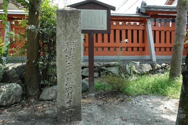 https://www.db.kansai-maas.jp/image/photos/b66a6fe2-567c-4ed5-92f4-757951bdbd55.jpg