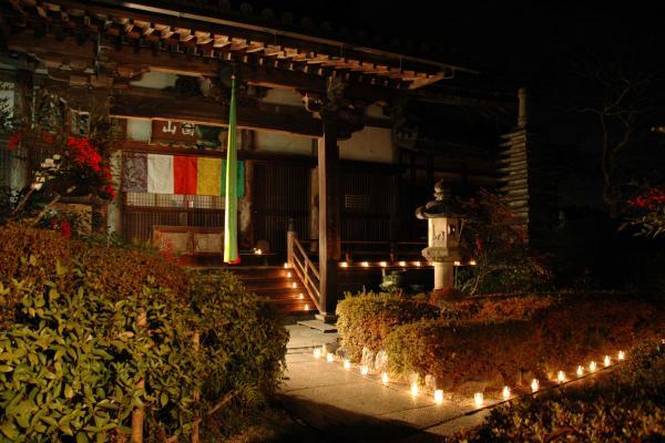 https://www.db.kansai-maas.jp/image/photos/b6d939b9-86d4-4f7b-925d-6cf752a93702.jpg
