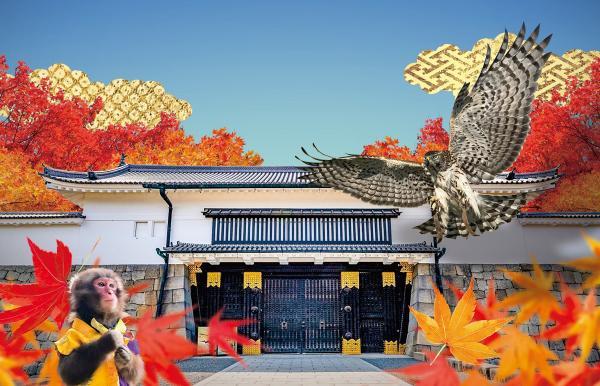 https://www.db.kansai-maas.jp/image/photos/b73c978e-1999-46ae-b8e5-968fed40306b.jpg