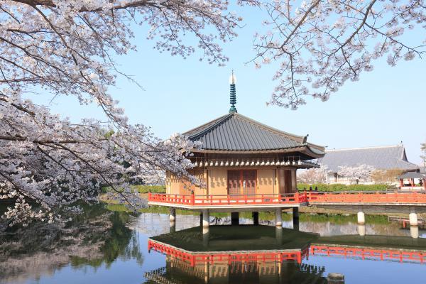 https://www.db.kansai-maas.jp/image/photos/b8908da1-cce2-41c4-acd9-fc90b824ad05.jpg