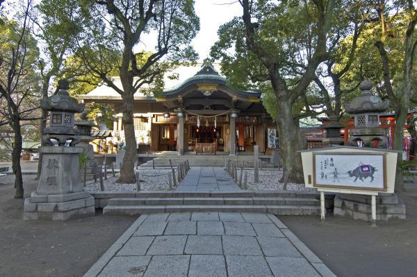 https://www.db.kansai-maas.jp/image/photos/b9874051-0552-4fc2-9ffd-c2e48ba32d4c.jpg