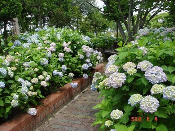 https://www.db.kansai-maas.jp/image/photos/b9e6f0fe-7d67-48ad-addb-e258a6d4a116.jpg