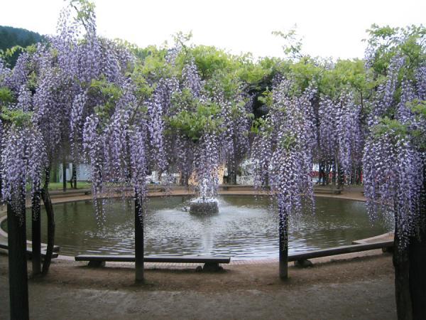 https://www.db.kansai-maas.jp/image/photos/ba59cd83-0e99-487f-a619-3e71353e581f.jpg