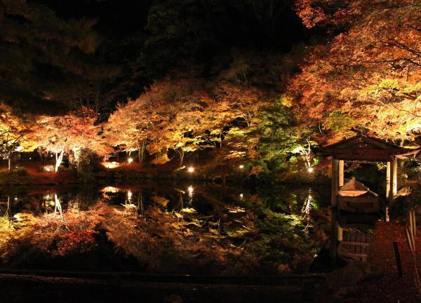 https://www.db.kansai-maas.jp/image/photos/babe35f0-b14e-42be-88b1-a881748ec202.jpg