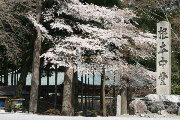 https://www.db.kansai-maas.jp/image/photos/bafbc19c-83f3-43bf-8596-149439963895.jpg