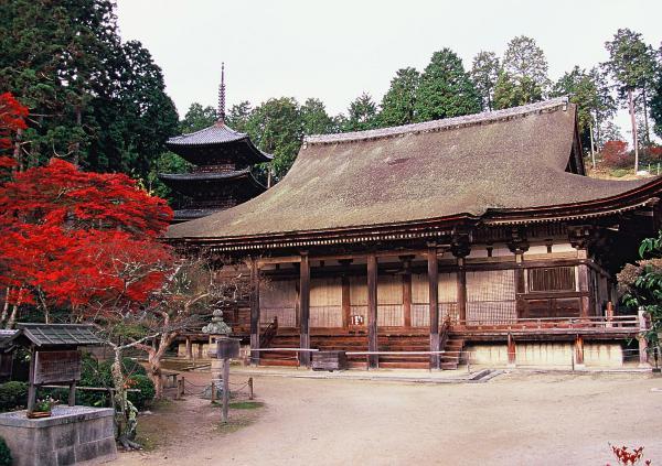 https://www.db.kansai-maas.jp/image/photos/bbdc8efc-0806-474e-96c9-19551d5e7027.jpg