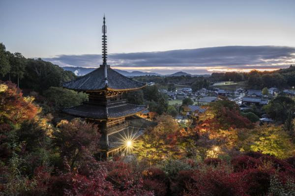 https://www.db.kansai-maas.jp/image/photos/bc5f3529-e488-4def-a9f0-65802186a5c5.jpg