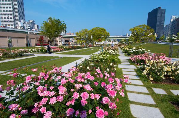 https://www.db.kansai-maas.jp/image/photos/bc7145cd-dd18-47cc-b9dc-6a079c1ce811.jpg