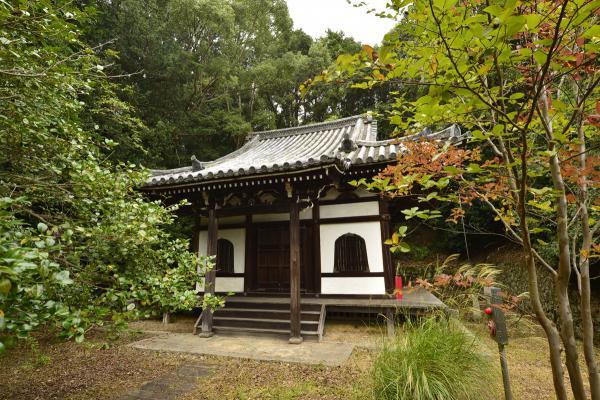 https://www.db.kansai-maas.jp/image/photos/bcbbdbcf-ae75-4a19-8d23-e43fe5c0430b.jpg