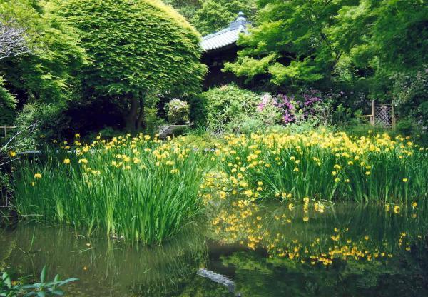 https://www.db.kansai-maas.jp/image/photos/bd0ca9d5-e3d5-4c90-971a-685c6b62065c.jpg