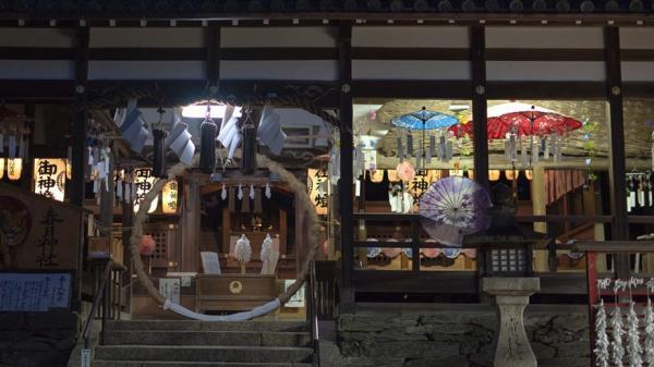 https://www.db.kansai-maas.jp/image/photos/bd15141b-9af5-4a09-83c8-45df086929fd.jpg