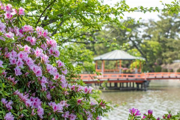 https://www.db.kansai-maas.jp/image/photos/bd91de99-6518-41b1-b23a-2815e8b69947.jpg