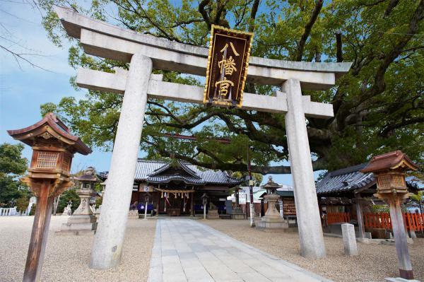 https://www.db.kansai-maas.jp/image/photos/be3a6d9e-175f-4ea7-9c3a-e710d76b41a7.jpg