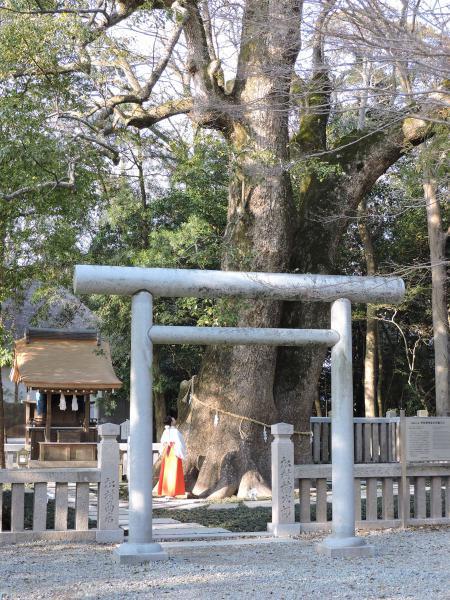 https://www.db.kansai-maas.jp/image/photos/be8b1e60-8f10-4a21-8969-608eb50c82e8.jpg