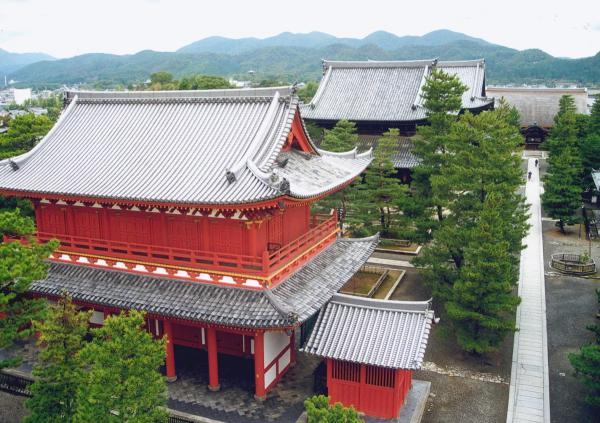https://www.db.kansai-maas.jp/image/photos/bec347ee-f7fc-46d1-bd83-bdfbb952734e.jpg