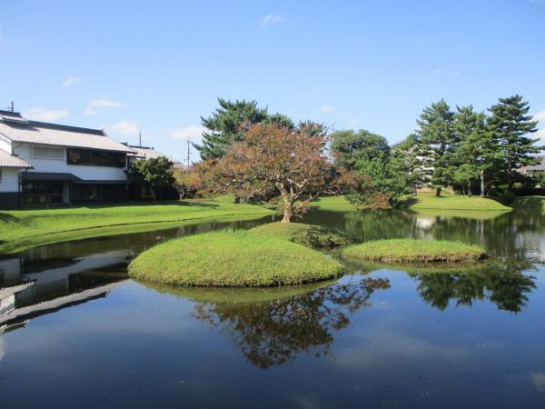 https://www.db.kansai-maas.jp/image/photos/bf018a8a-fe57-4959-8205-455f7289716d.jpg
