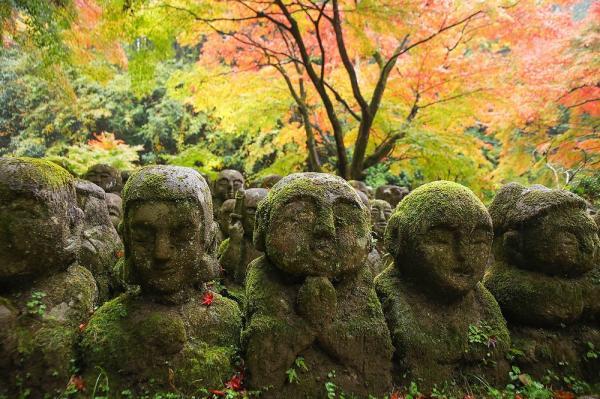 https://www.db.kansai-maas.jp/image/photos/bf4533b6-aff9-4e69-aa03-31efce9bb311.jpg