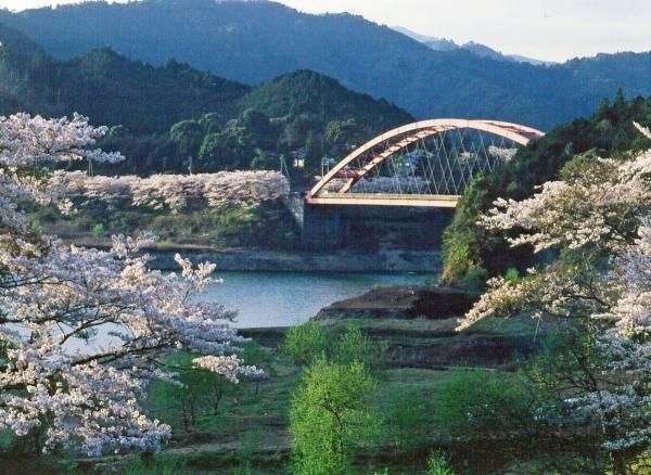 https://www.db.kansai-maas.jp/image/photos/bf79bb00-8788-4522-a6c2-f43e0abd5226.jpg