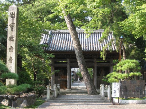 https://www.db.kansai-maas.jp/image/photos/c0194265-8397-45bb-b8c6-017b0cfba95d.jpg