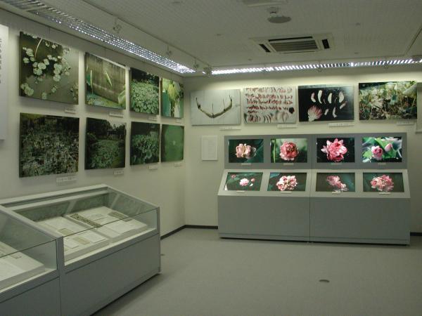 https://www.db.kansai-maas.jp/image/photos/c0fd3f99-3b5a-4eb3-8064-901859f82d57.jpg