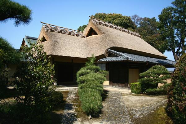 https://www.db.kansai-maas.jp/image/photos/c12f5ccf-527d-400d-8fa7-631ac3285f5f.jpg