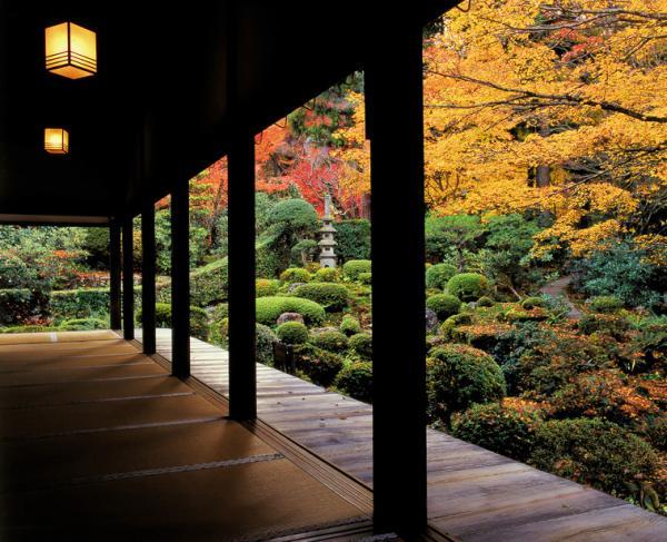 https://www.db.kansai-maas.jp/image/photos/c1450771-8970-4751-9a7f-b776ea472cdf.jpg