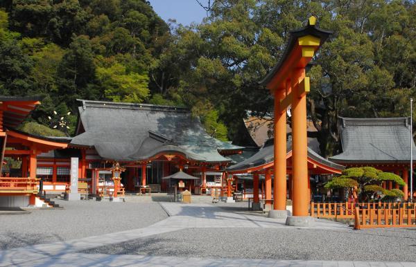 https://www.db.kansai-maas.jp/image/photos/c158f784-61fc-475a-8258-e1a0544dcefd.jpg