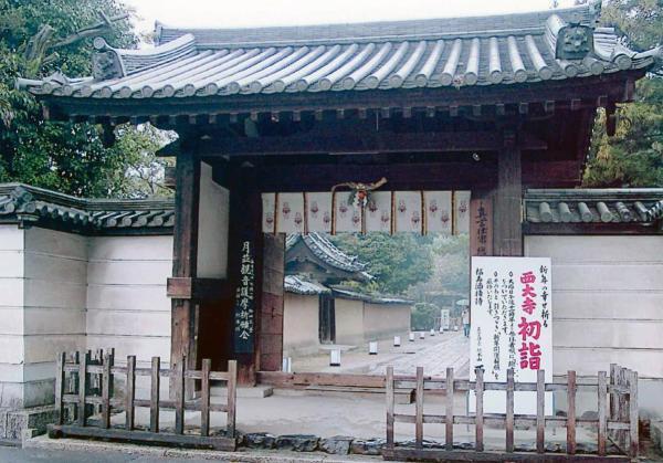 https://www.db.kansai-maas.jp/image/photos/c18d647c-330e-4e36-a849-485b33989665.jpg