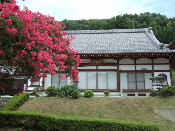 https://www.db.kansai-maas.jp/image/photos/c1a9f590-a485-401a-a0aa-4815012d6788.jpg