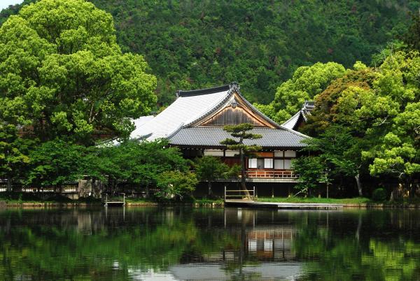 https://www.db.kansai-maas.jp/image/photos/c279d8c1-1f6b-4263-a9d7-b6257dbe1802.jpg