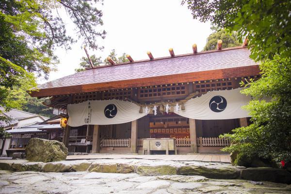 https://www.db.kansai-maas.jp/image/photos/c473d9a8-f431-4e99-86c0-a5ffe9e1b307.jpg