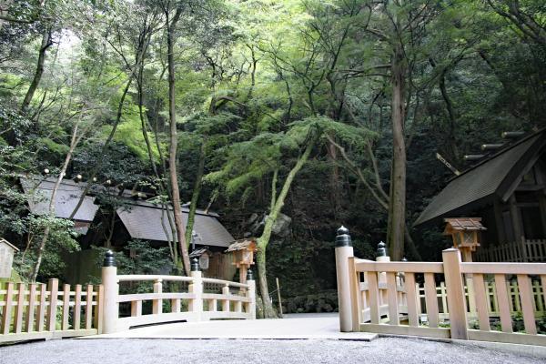 https://www.db.kansai-maas.jp/image/photos/c4e7d696-f541-4394-9829-cda32f9ffc92.jpg