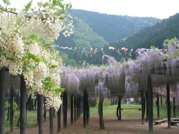 https://www.db.kansai-maas.jp/image/photos/c540b7f0-ee4c-4c84-ba1c-7c8319fa24ed.jpg