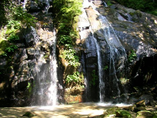 https://www.db.kansai-maas.jp/image/photos/c69d236b-ab05-4640-b513-c5d50b600063.jpg