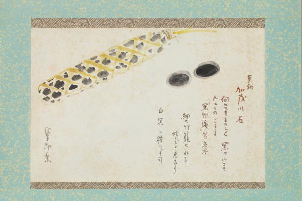 https://www.db.kansai-maas.jp/image/photos/c6e959b4-47f0-4525-984a-1a4412792004.jpg