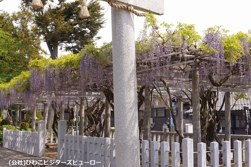 https://www.db.kansai-maas.jp/image/photos/c6eb59fc-5ebc-41d2-897d-f2a70b5f0b2b.jpg