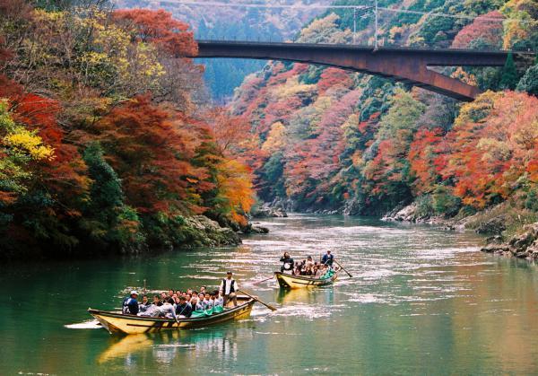https://www.db.kansai-maas.jp/image/photos/c6f0d216-fc3d-4b0b-aaf6-0fbffe8ebd05.jpg