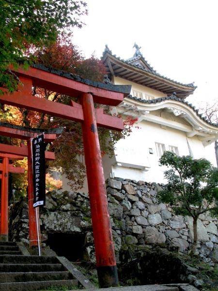https://www.db.kansai-maas.jp/image/photos/c7e7725b-889d-4ef1-bd3c-f8a057b8bc96.jpg