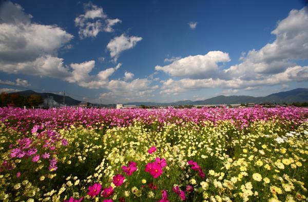 https://www.db.kansai-maas.jp/image/photos/c875bfb5-1a09-4e74-9454-3fc9fcd09c69.jpg